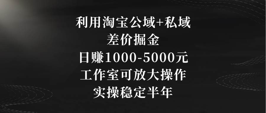 利用淘宝公域+私域差价掘金，日赚1000-5000元，工作室可放大操作，实操…-臻优网