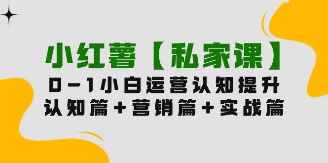 小红薯【私家课】0-1玩赚小红书内容营销，认知篇+营销篇+实战篇（11节课）-臻优网
