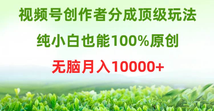 视频号创作者分成顶级玩法，纯小白也能100%原创，无脑月入10000+-臻优网