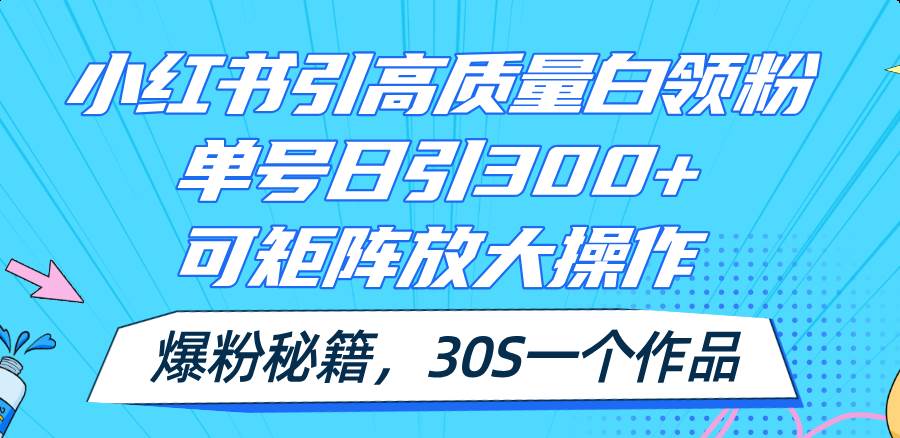 小红书引高质量白领粉，单号日引300+，可放大操作，爆粉秘籍！30s一个作品-臻优网