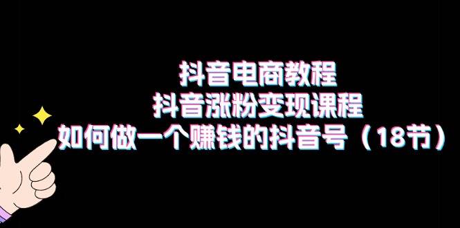抖音电商教程：抖音涨粉变现课程：如何做一个赚钱的抖音号（18节）-臻优网