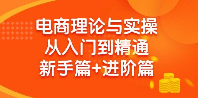 电商理论与实操从入门到精通 新手篇+进阶篇-臻优网