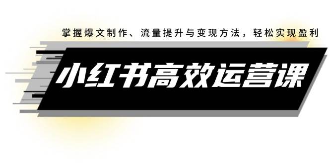 小红书高效运营课：掌握爆文制作、流量提升与变现方法，轻松实现盈利-臻优网