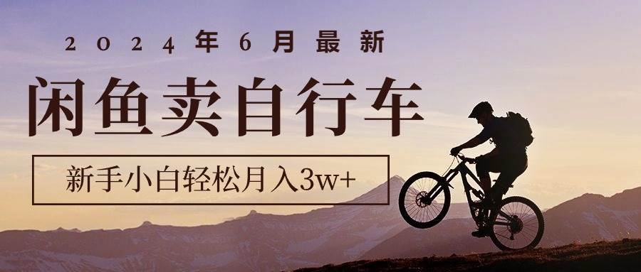 2024年6月最新闲鱼卖自行车，新手小白轻松月入3w+项目-臻优网