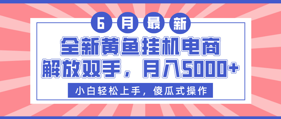 全新黄鱼挂机电商，解放双手，月入5000+-臻优网