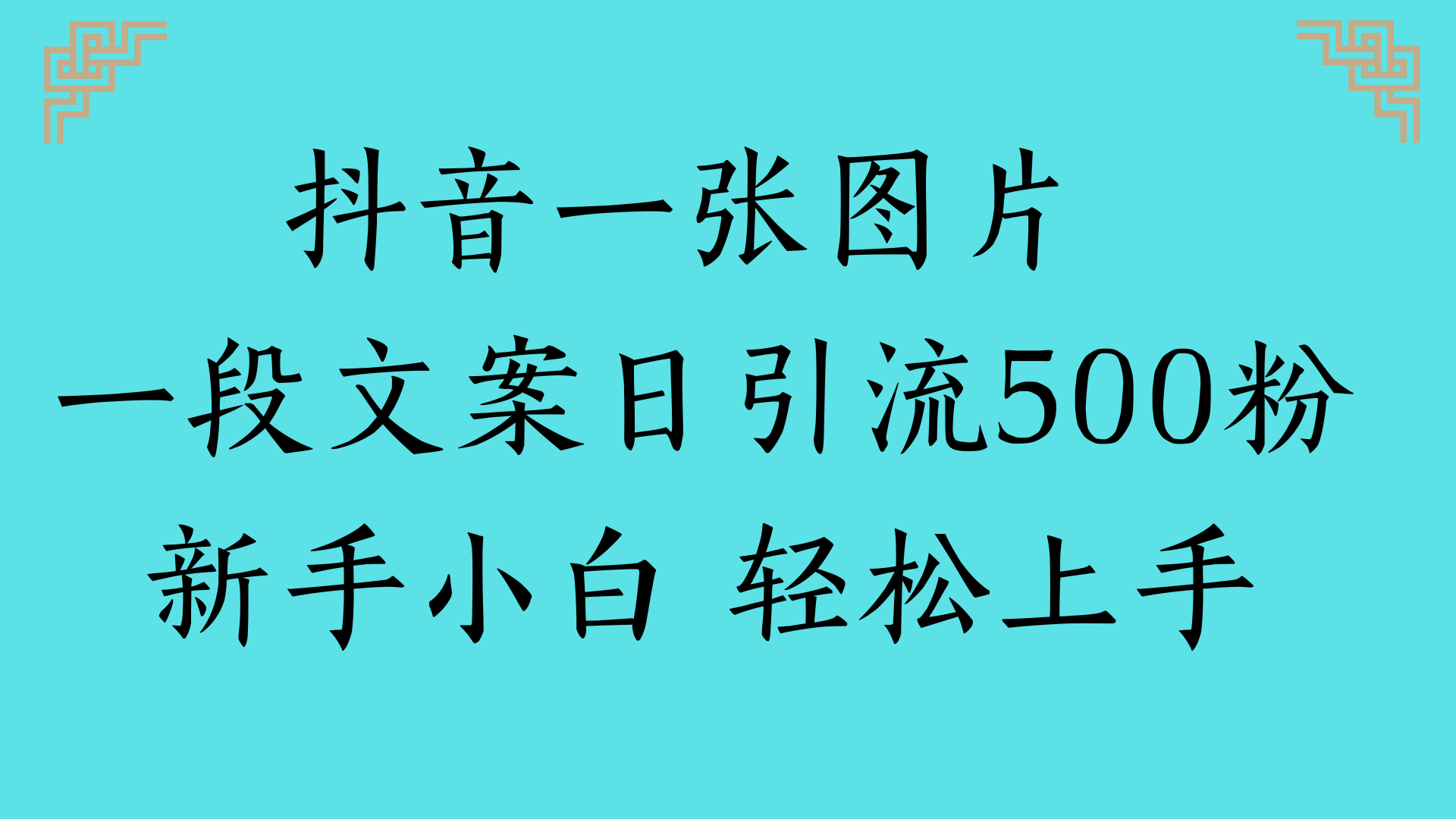 抖音一张图片 一段文案日引流500粉新手小白 轻松上手-臻优网