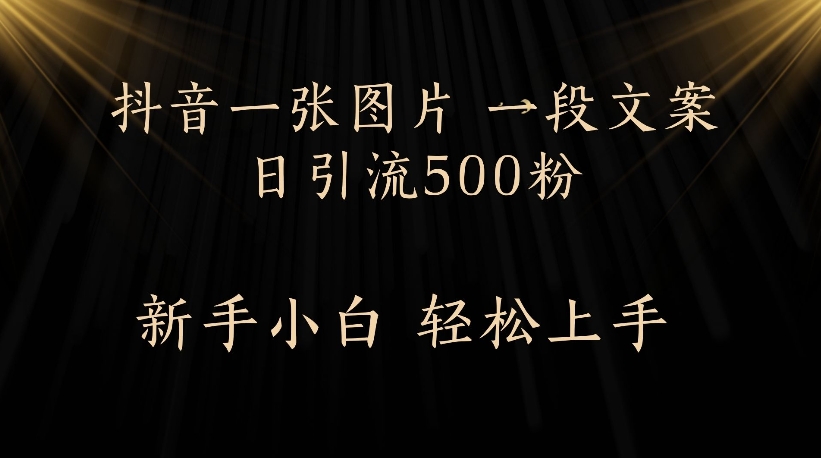 抖音一张图片，一段文案日引流500粉，新手小白 轻松上手-臻优网