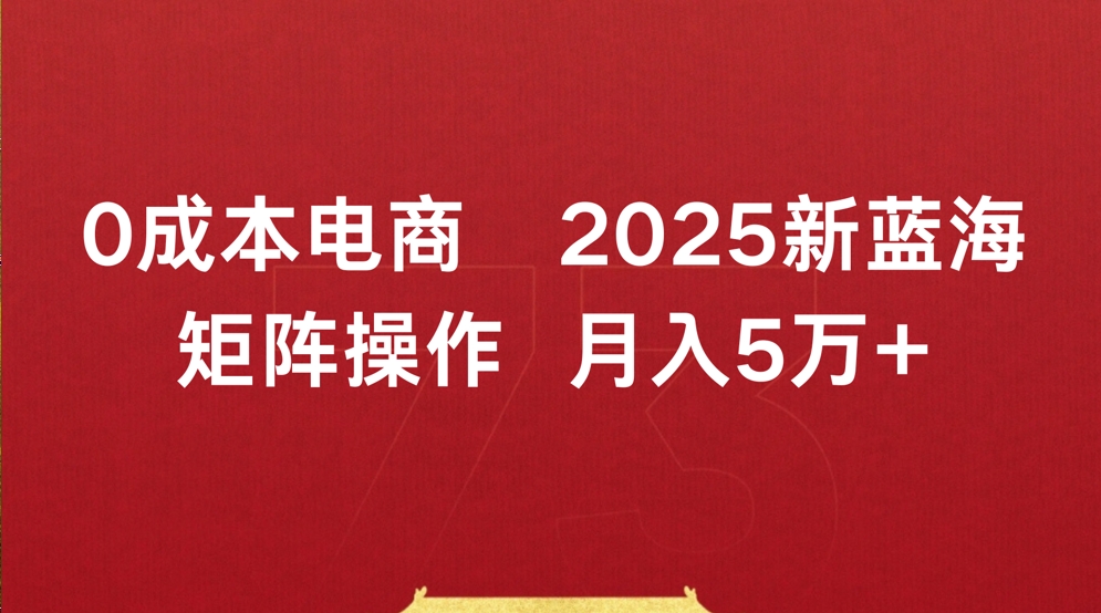 0成本电商2025新蓝海矩阵操作 月入5万+-臻优网