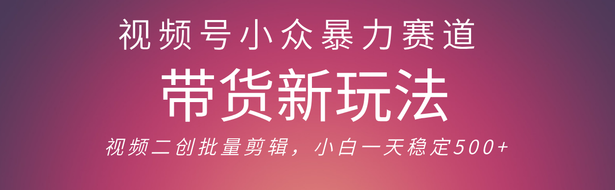 视频号小众暴力赛道，最新带货玩法 小白也能轻松日入500+ 保姆及教程-臻优网