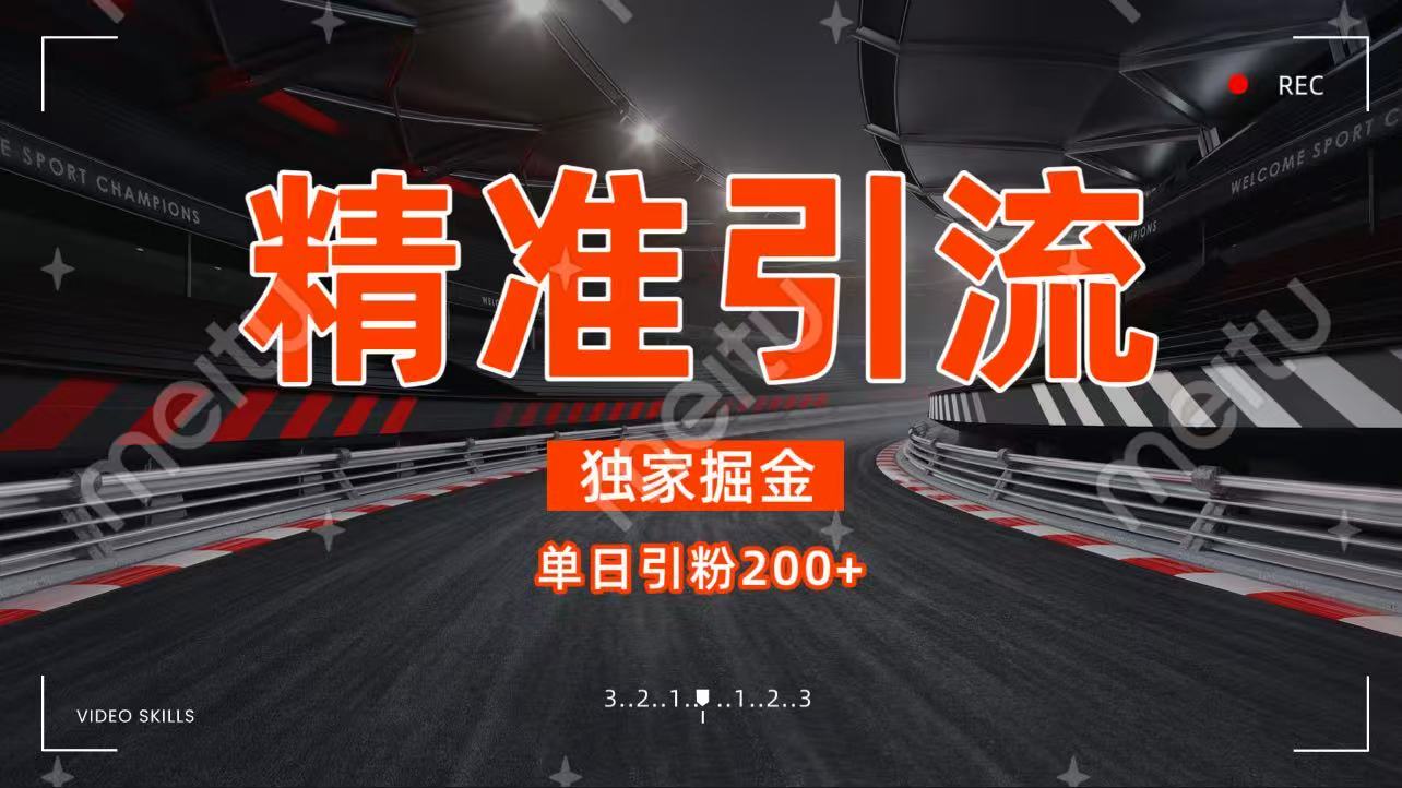 独家野路子精准引流 每日200+-臻优网