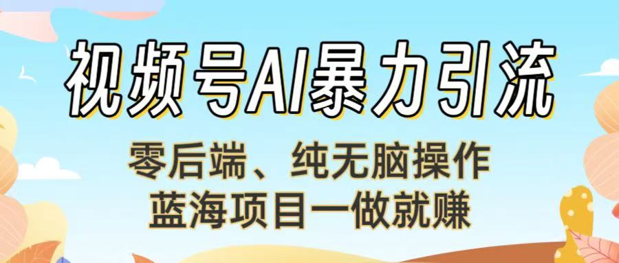 视频号AI暴力引流：零后端、纯无脑操作，蓝海项目一做就赚！【下面那个链接失效了】-臻优网