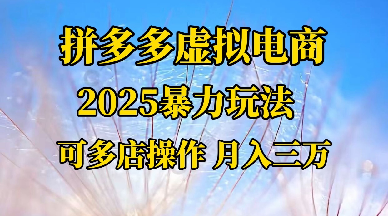 拼多多虚拟电商，不囤货不垫资的虚拟电商-臻优网