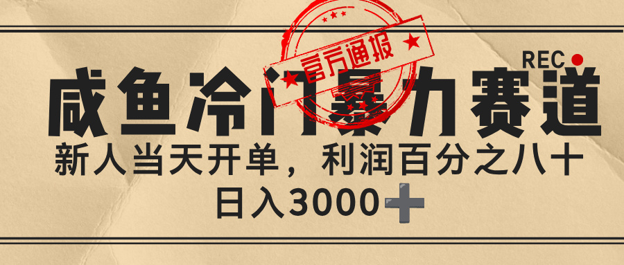 闲鱼，冷门暴力赛道，一单 80%利润，新人轻松日入 3000+-臻优网