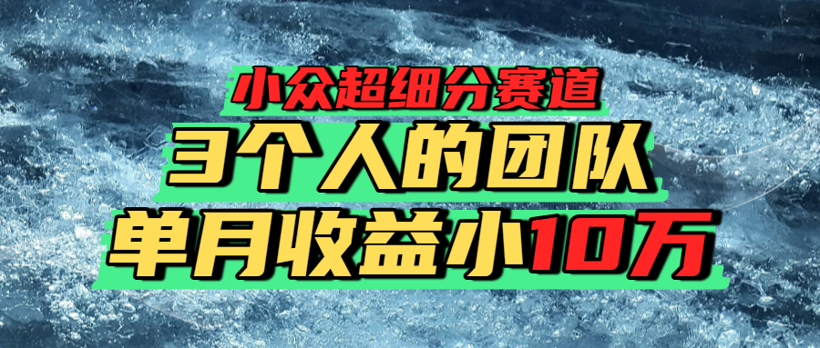 小众超细分赛道，一年百万利润的盘子！-臻优网