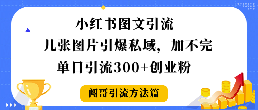 小红书图文引流，几张图片引爆私域加不完，单日引流300＋创业粉-臻优网