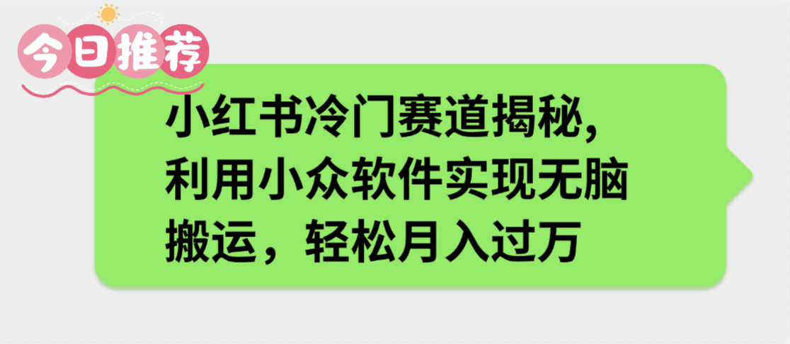 小红书冷门赛道揭秘,利用小众软件实现无脑搬运，轻松月入过万-臻优网